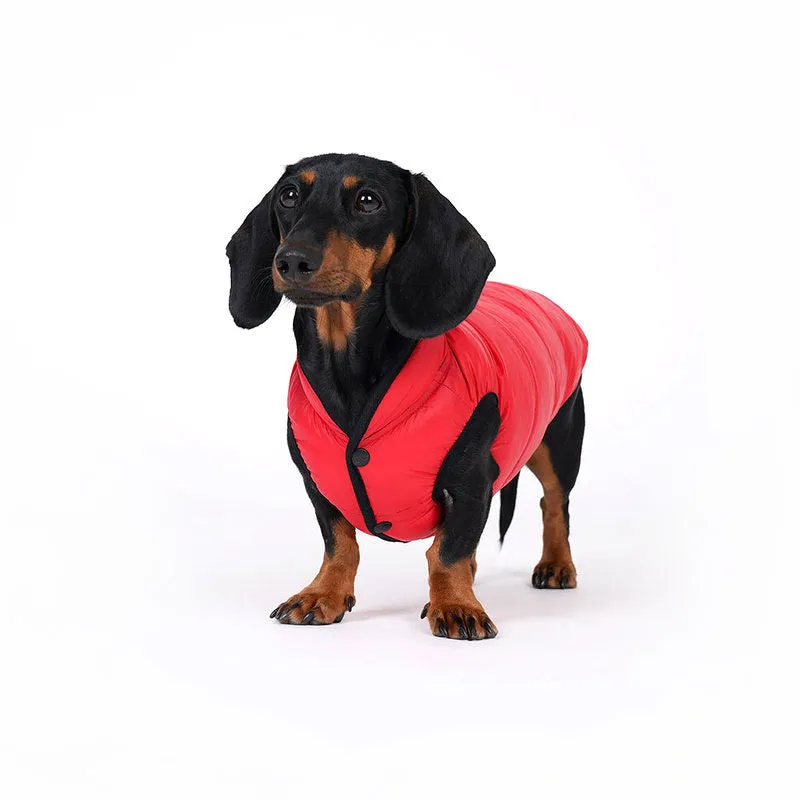 lightweight padding vest for dachshund - red - xl left!