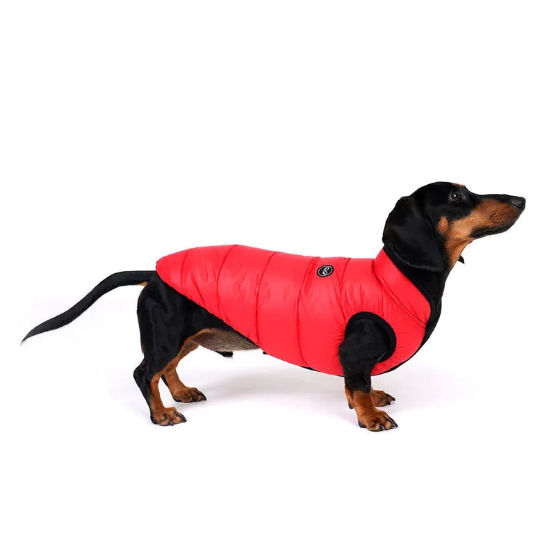 lightweight padding vest for dachshund - red - xl left!