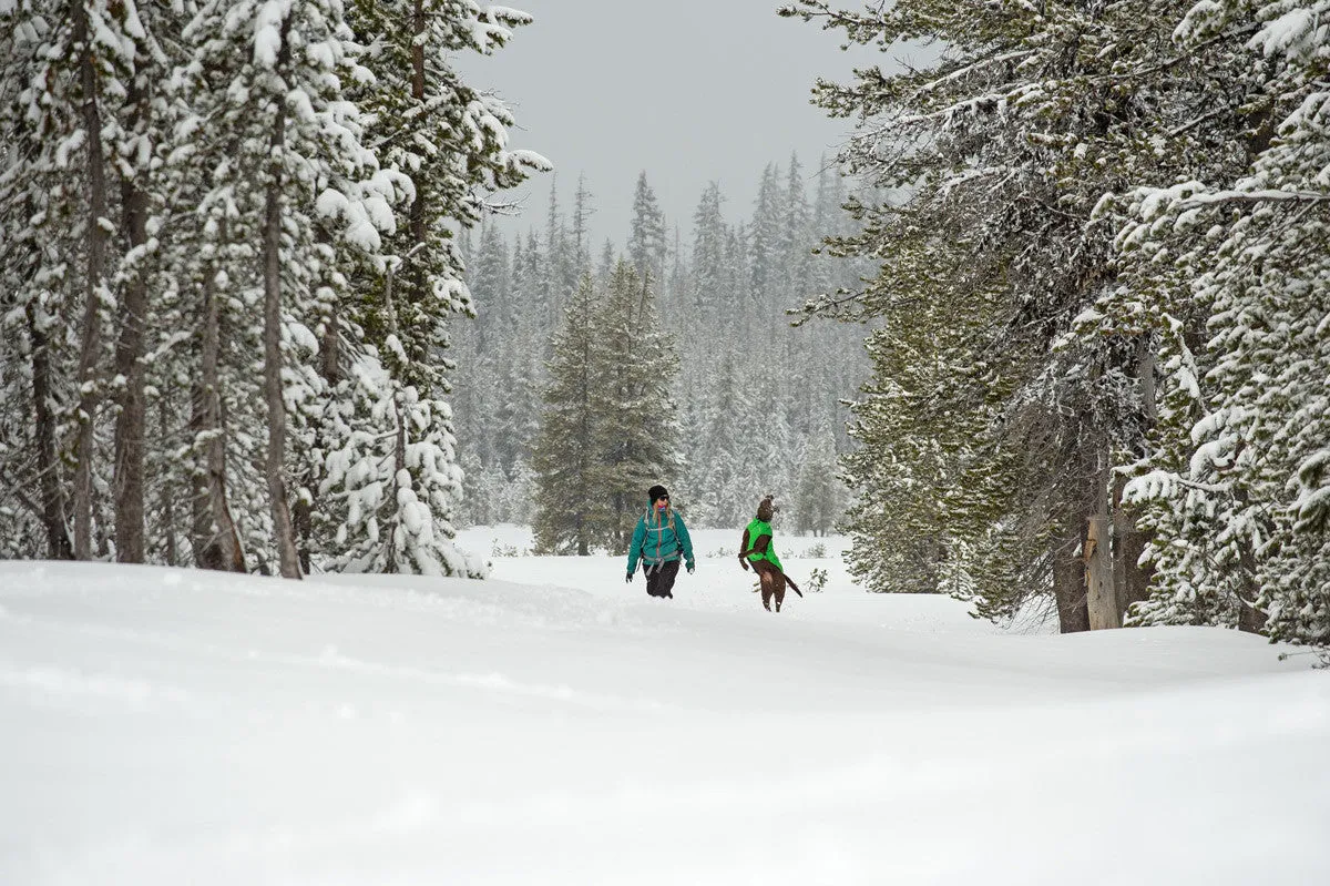 Quinzee™ Meadow Green - Warm Insulated Dog Jacket